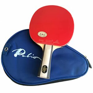 Palio Expert 2.0 Table Tennis Bat Review 