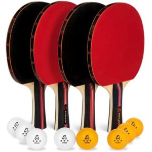 JP WinLook Ping Pong Paddle Review 
